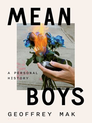 cover image of Mean Boys